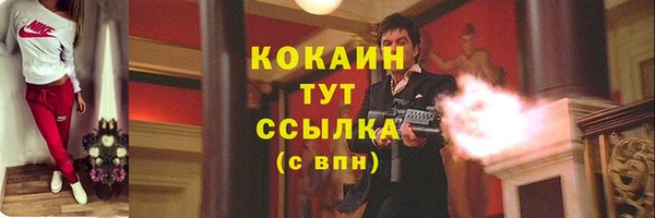 трава Гусев