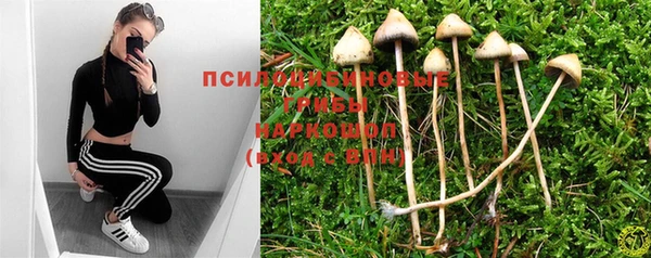 COCAINE Гусь-Хрустальный