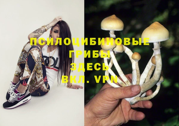 COCAINE Гусь-Хрустальный