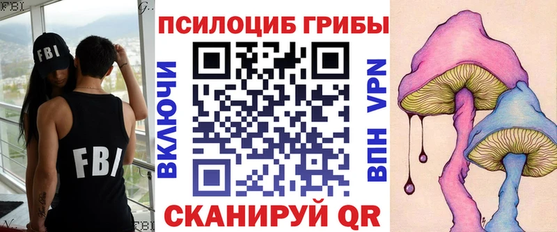 магазин  наркотиков  Свирск  Галлюциногенные грибы мухоморы 